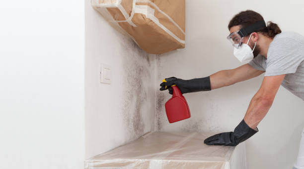 Professional Attic Mold Removal technician working in Amityville, NY