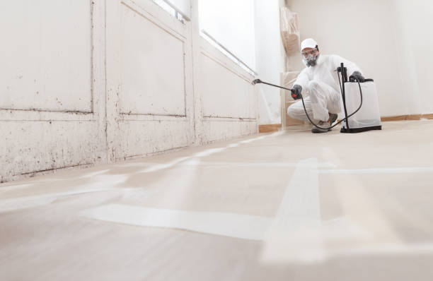 24/7 Emergency Attic Mold Removal experts in Amityville, NY